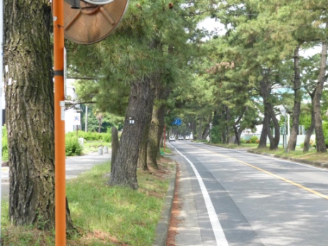 画像23